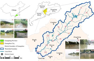 Using a new fish indicator-based index with scoring and evaluation criteria to assess the ecological status in a disturbed subtropical river of China